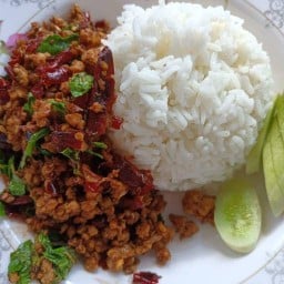 เก้า เก้า กระเพราโบราณ  (ซอย ทวีวัฒนา 35) ซ.35 หน้าวัง