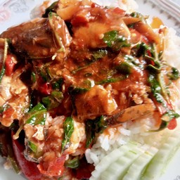 ผัดกระเพราปลากระป๋อง(กับข้าว)