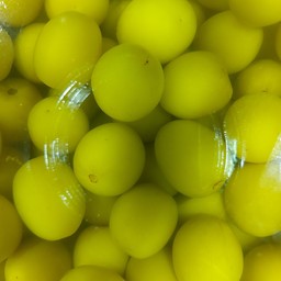 พุทราดอง