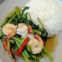 ข้าวราดผักบุ้งกุ้ง