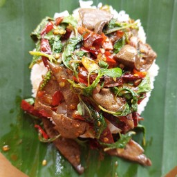 กะเพราตับ