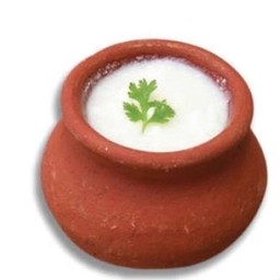 Plain Dahi