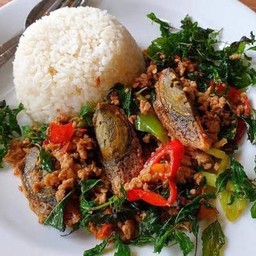 ข้าวราดกะเพราไข่เยี่ยวม้า