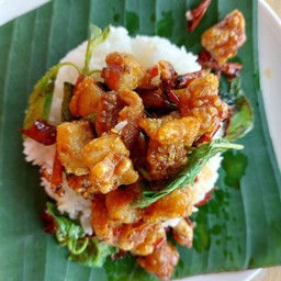 กะเพรากากเจียว