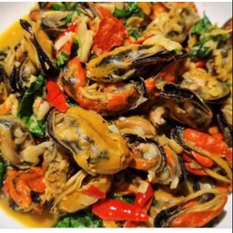 กระเพราหอยแมลงภู่ราดข้าว