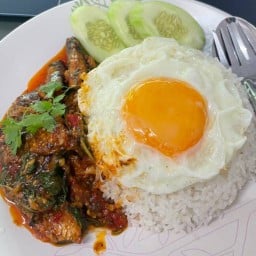Don cafe & อาหารตามสั่ง นวลจันทร์ 56