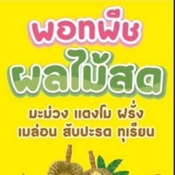 พอทพีชผลไม้สด