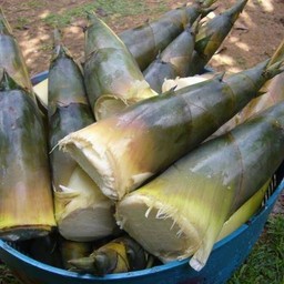 พะแพงก๋วยเตี๋ยวเนื้อตุ๋นน้ำตก