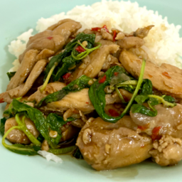 ข้าวราดผัดกะเพราไก่