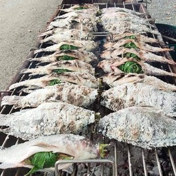 ใบอ่อนปลาเผา หน้าวัดศรีโพธาราม