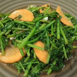 ผัดผักกูดน้ำมันหอย