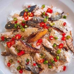 ยำหยองแซ่บ 🐳 "เทพารักษ์"