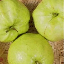 ฝรั่ง 1 ลูก บ๊วยพริกเกลือระบุ