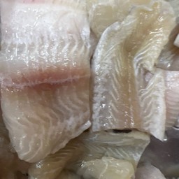 ปลาดอลลี่