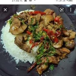 ผัดกระเพราเครื่องในไก่รสเด็ดราดข้าวไข่ดาวฟรีจร้าไม่เผ็ด