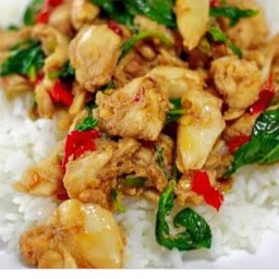 ผัดกระเพราไก่ชิ้นราดข้าวไข่ดาวฟรีไม่เผ็ด