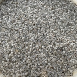 เม็ดแมงลัก