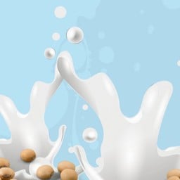 とうにゅう ตลาดธานินทร์