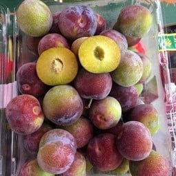 ปันปัน ฟลุ๊ต