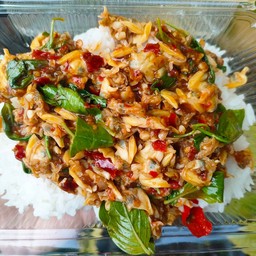ข้าวหอยลายผัดพริกเผา