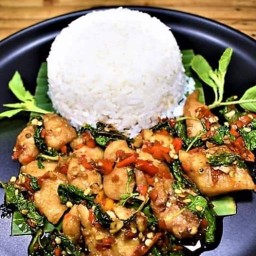 ครัวบ้านเราbyพี่หนิง(อาหารตามใจ) เพชรเกษม55/2