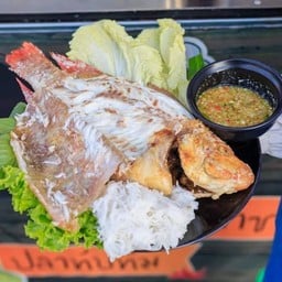 นายดรีมปลาเผาก่อนถึงร้านโทร0816041960 ธนดี