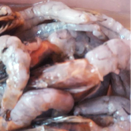 เนื้อกุ้งหั่น