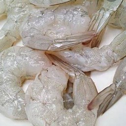 กุังสด1ตัว