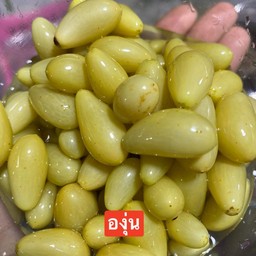 ซุปเปอร์แซ่บ - วค.สุราษฯ