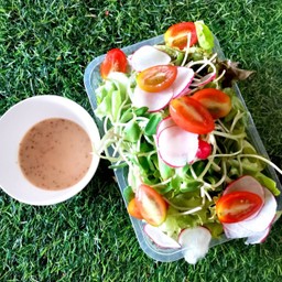 มิกซ์สลัด (ไม่มีเนื้อสัตว์)