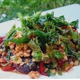 ข้าวกระเพราไข่เยี่ยวม้า