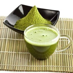 มัทฉะ ร้อน