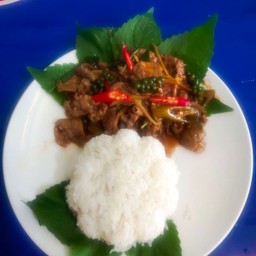 ผัดฉ่าเนื้อใบยี่หร่าพริกแห้งรสเด็ด ราดข้าว