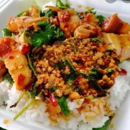 ข้าวราดกะเพราหมูกรอบ + หมูสับ