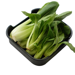 ยอดกวางตุ้ง