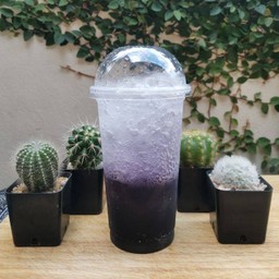 องุ่น  โซดา