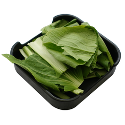 กวางตุ้งไต้หวัน