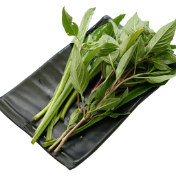 ผักชีฝรั่ง+โหระพา