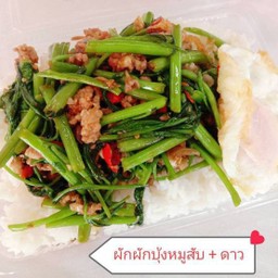 ผัด ผักบุ้ง   (โปรดเลือกเนื้อสัตว์ )