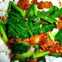 ข้าวราดผัดคะน้า กุ้ง,ปลาหมึก,รวมมิตร