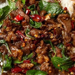 ใบกระเพรา