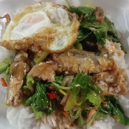 กระเพราปลากระป๋อง+ไข่ดาว