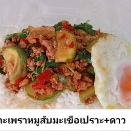 กะเพรา มะเขือเปราะ  (โปรดเลือกเนื้อสัตว์ )