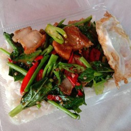 ผัดคะน้า  (เลือกเนื้อสัตว์ )