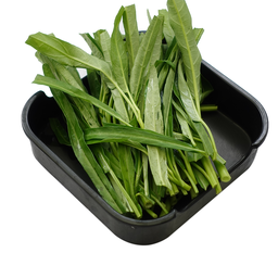 ผักบุ้ง