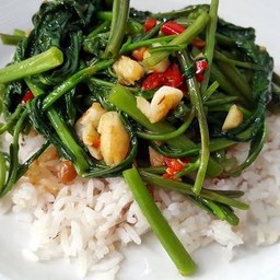 ผัดผักบุ้งราดข้าว