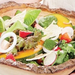 สลัดปั้นปลูก