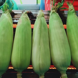 ปลาเผาสิริวรรณ