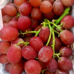 องุ่นไร้เม็ดกินลิ้นจี่น้ำหนัก 1 กิโลกรัม