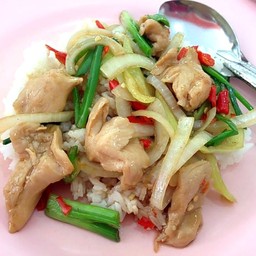 ผัดพริกหยวก หมู,ไก่,หมูสับ
